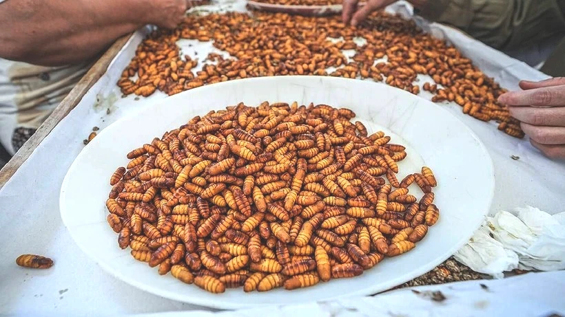 130 Kişi Ordu Gibi Tek Tek Ayıklıyor, Ücretsiz Dağıtıyor: 20 Gün Sürüyor, Türkiye'de Sadece Orada Üretiliyor - Resim: 4