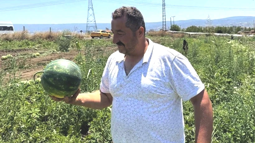Eken Çok Olunca Fiyatı 45 Bin TL'den 10 Bin TL'ye Düştü - Resim: 3