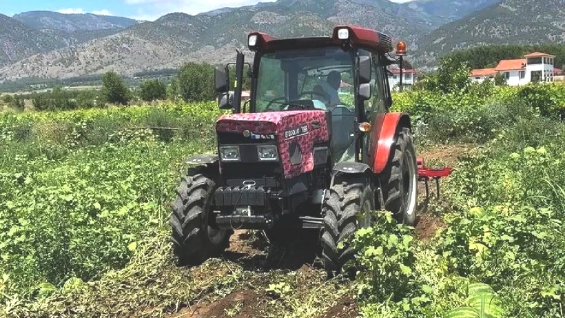 Eken Çok Olunca Fiyatı 45 Bin TL'den 10 Bin TL'ye Düştü - Resim: 4