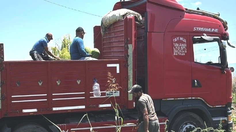 Eken Çok Olunca Fiyatı 45 Bin TL'den 10 Bin TL'ye Düştü - Resim: 2