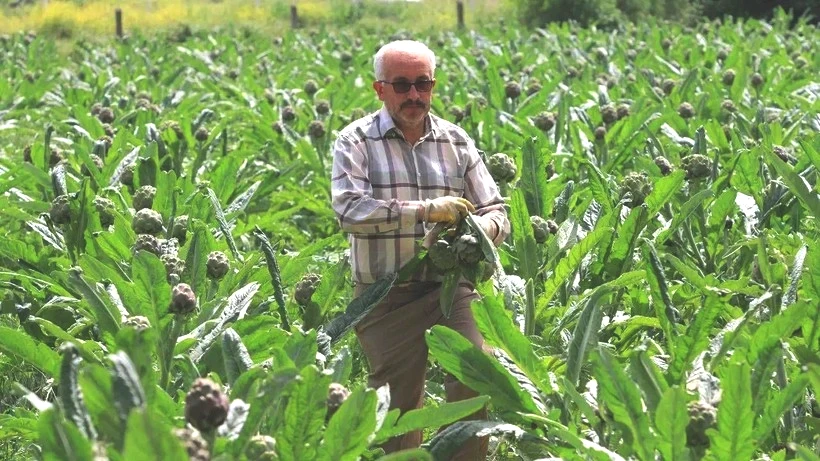 Herkes Olmaz Dedi, O Kimseyi Dinlemedi: Rekor Hasatta Rekor Kazanç Elde Etti! Şimdi Parmakla Gösteriliyor - Resim: 4