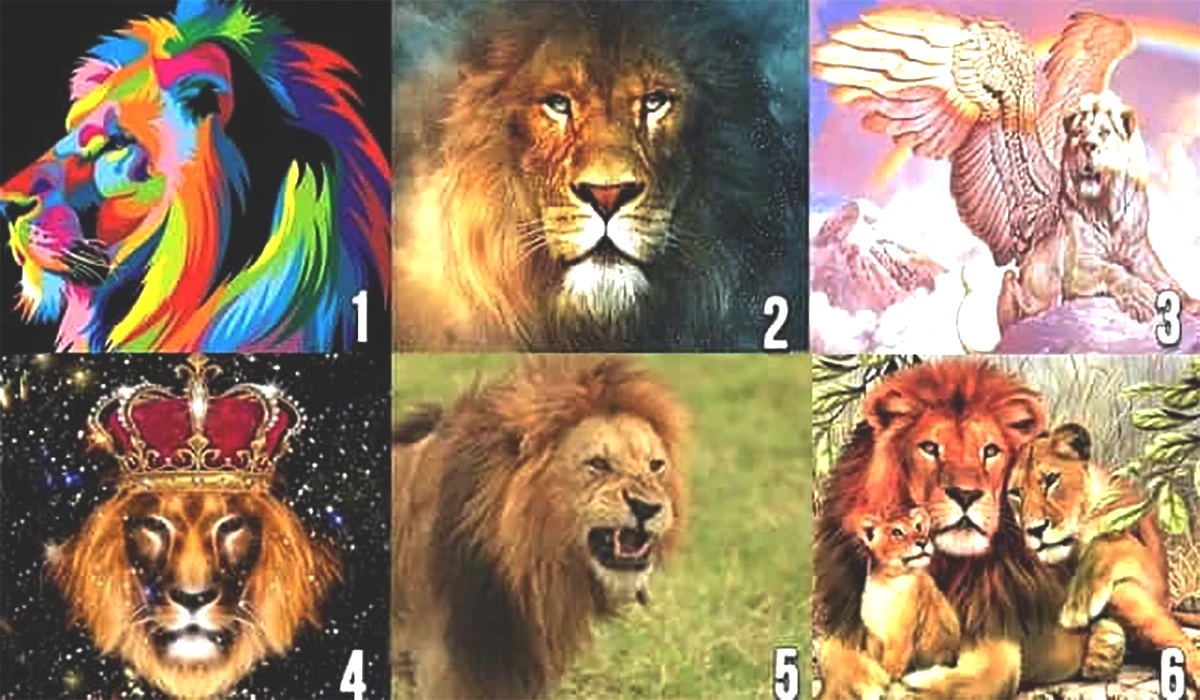 aslan.jpg