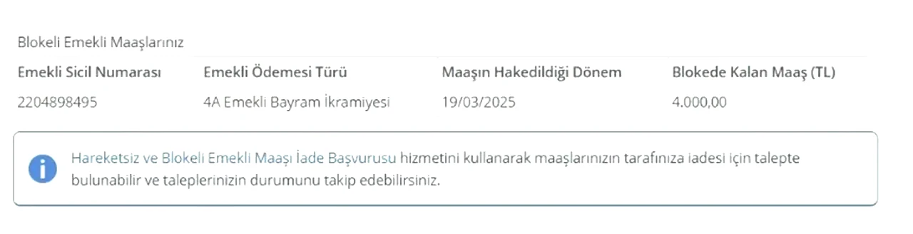 Emekli ikramiyesi e-Devlet'te! SGK son hazırlıklarını tamamladı: O tarihte hesaplarda olacak